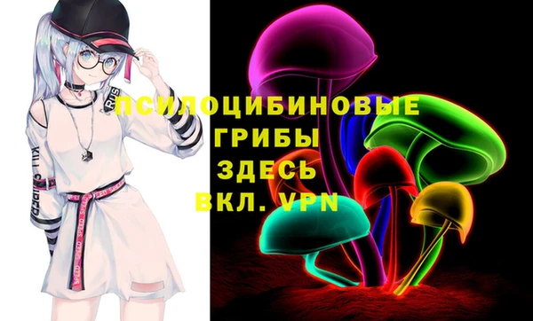 прущие крисы Арсеньев