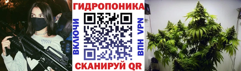 Купить  Щёкино  Шишки марихуана MAZAR 
